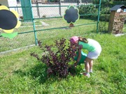 Letní den ve školce